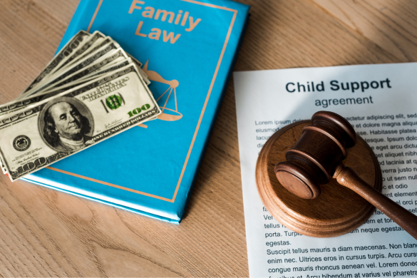 Montana Child Support Attorney