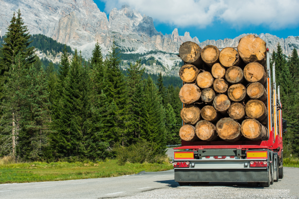 Montana logging & Forestry Accident Lawyers