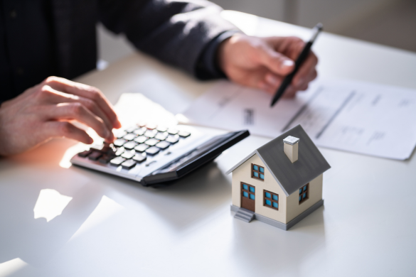 Asset & Property Division